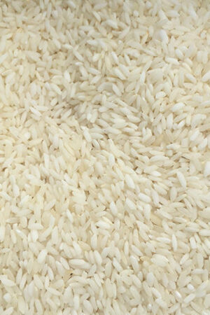 Short Grain Basmati Rice