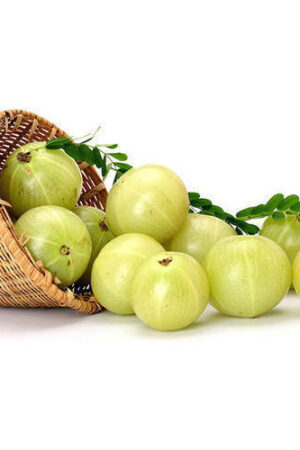 Fresh Amla