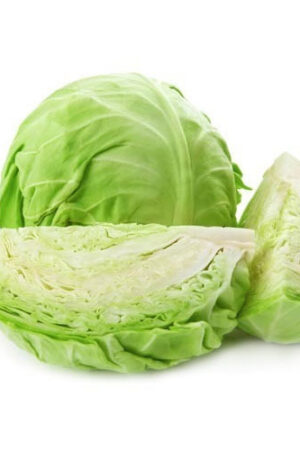 Fresh Cabbage