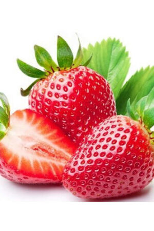 Fresh Strawberry