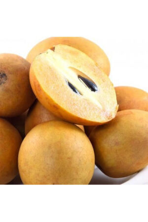 Fresh Sapodilla