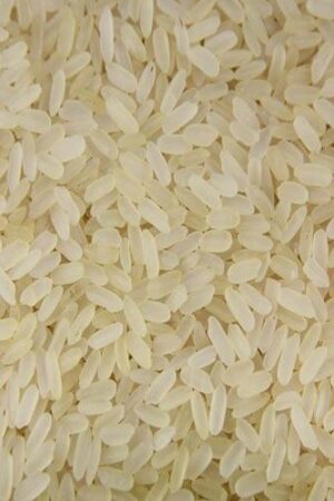 IR 8 Rice