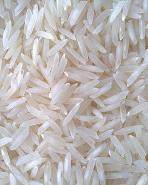 Sona masuri Rice